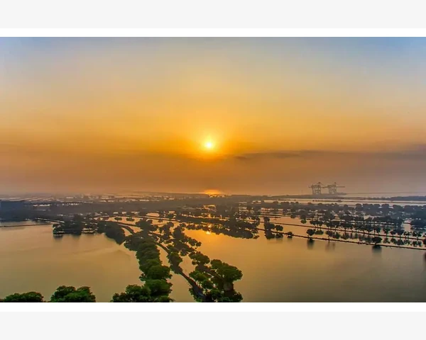 湿气重怎么排？泡脚真能有效吗？