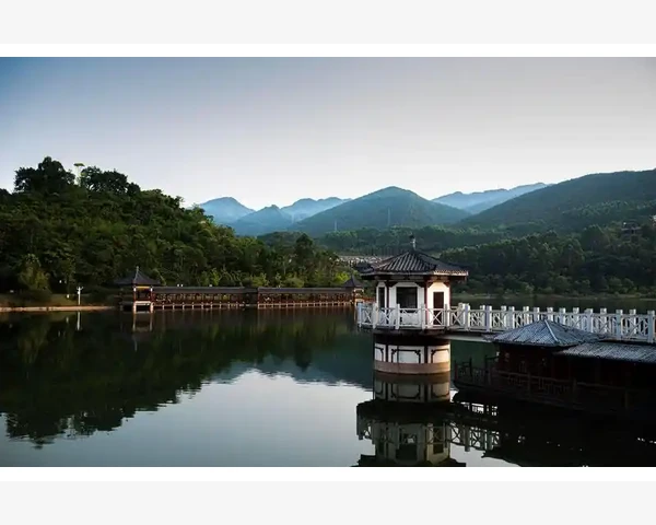湿气重怎么调理吃什么？