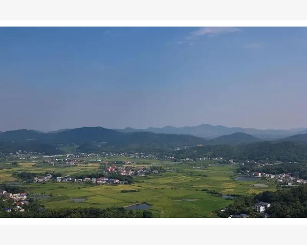 脾胃肝不好怎么养？中医科普，助你重塑健康生活！